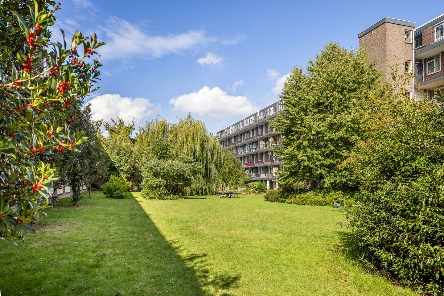 Foto 4 van Smaragdplein 54