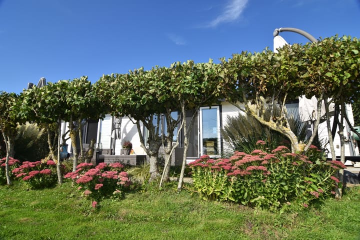 Foto 14 van Driehuizerweg 8-280