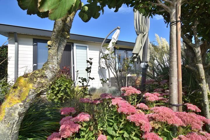 Foto 15 van Driehuizerweg 8-280