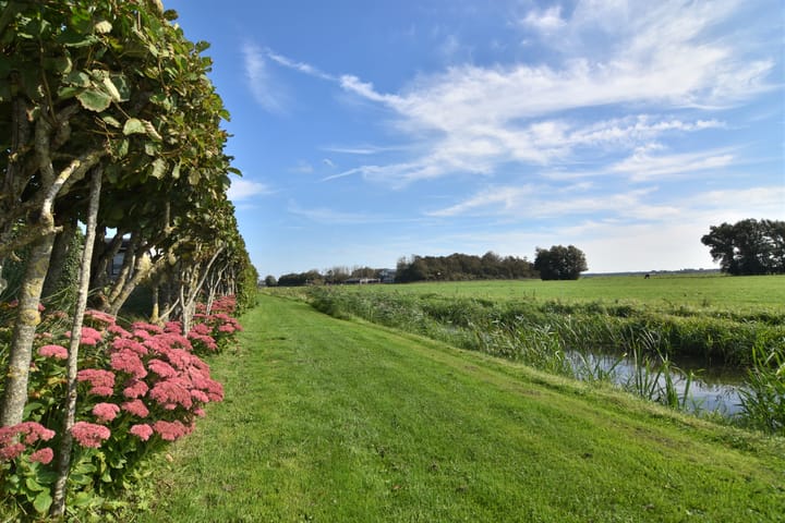 Foto 19 van Driehuizerweg 8-280