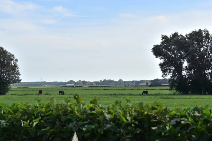 Foto 37 van Driehuizerweg 8-280