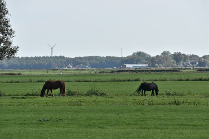 Foto 38 van Driehuizerweg 8-280