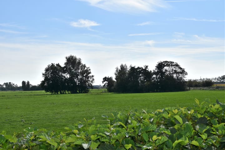 Foto 39 van Driehuizerweg 8-280