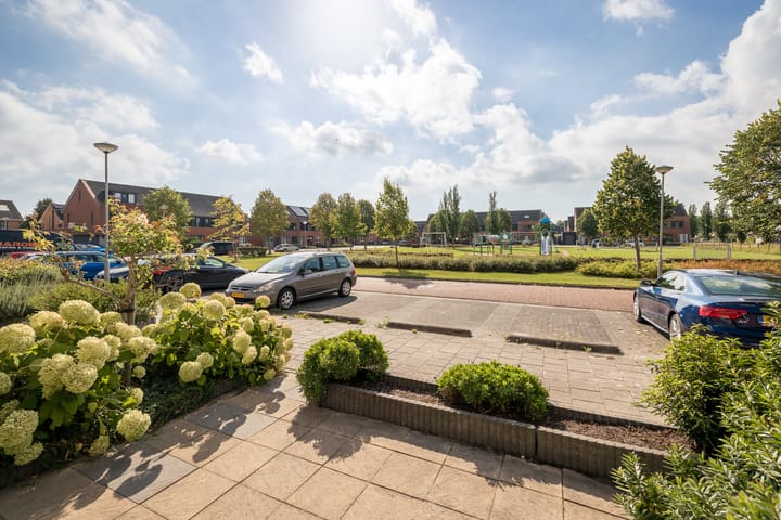 Foto 44 van Rietgans 11