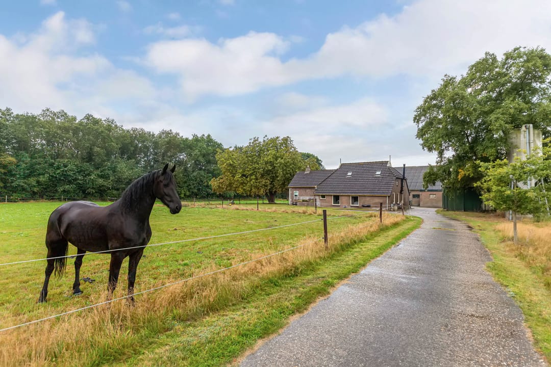 Photo 1 of Meentheweg 13