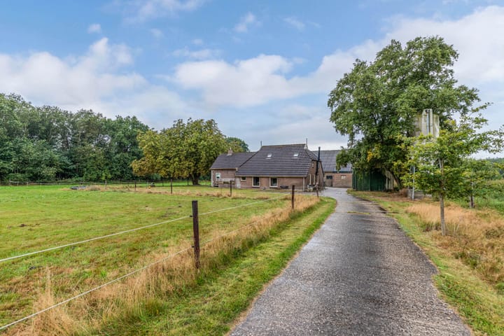 Foto 4 van Meentheweg 13