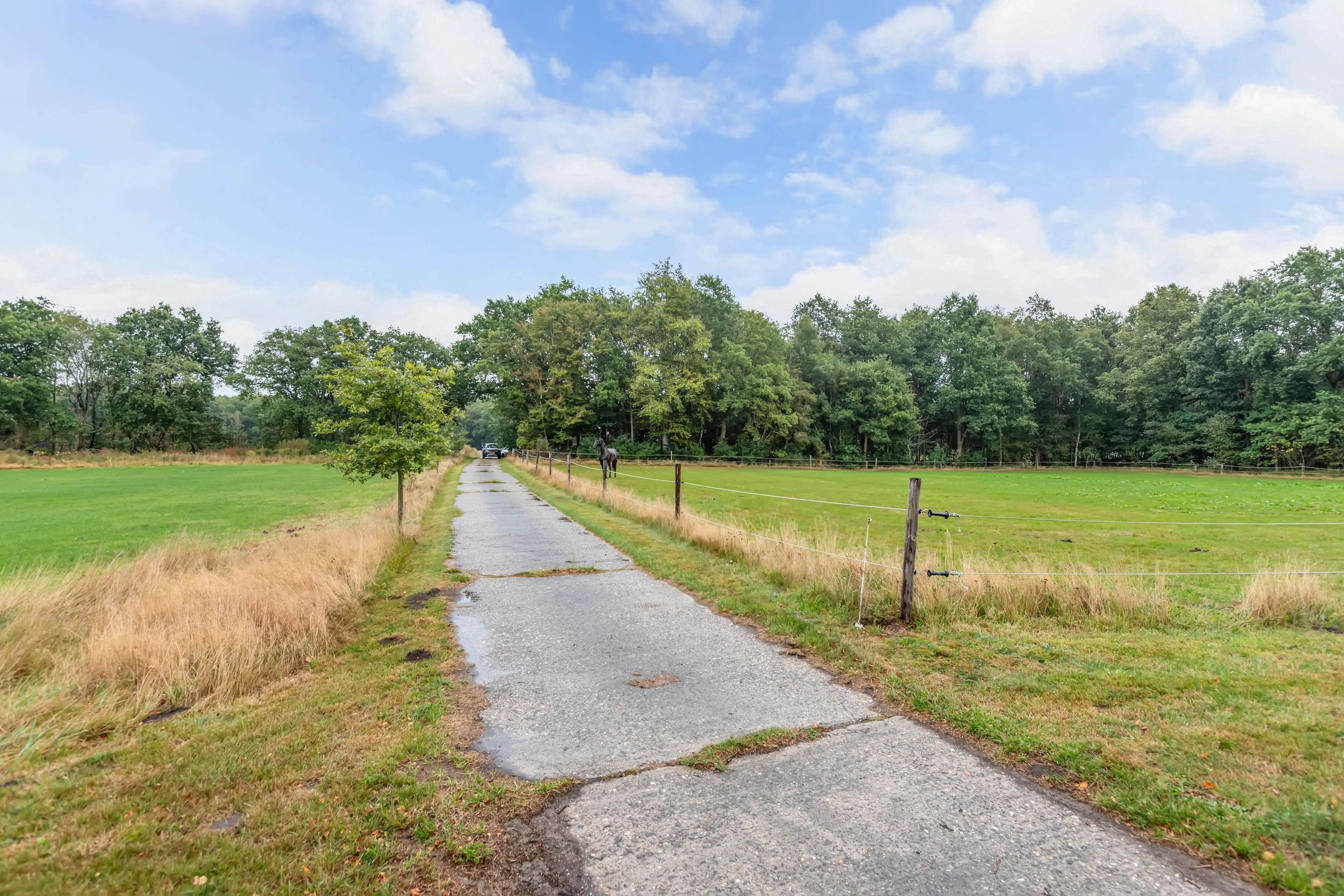 Photo 27 of Meentheweg 13