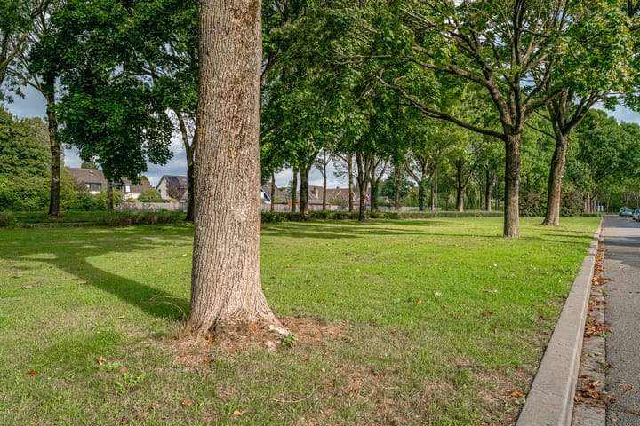 Foto 4 van Debussystraat 4