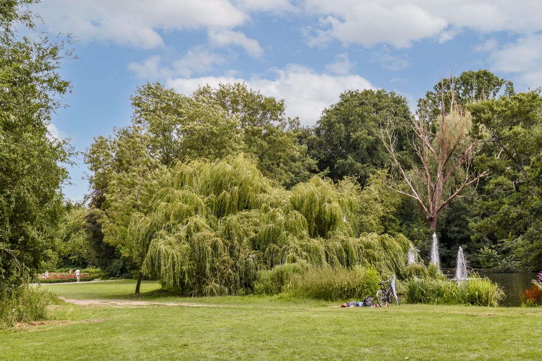 Foto 22 van Kanaalstraat 200-1