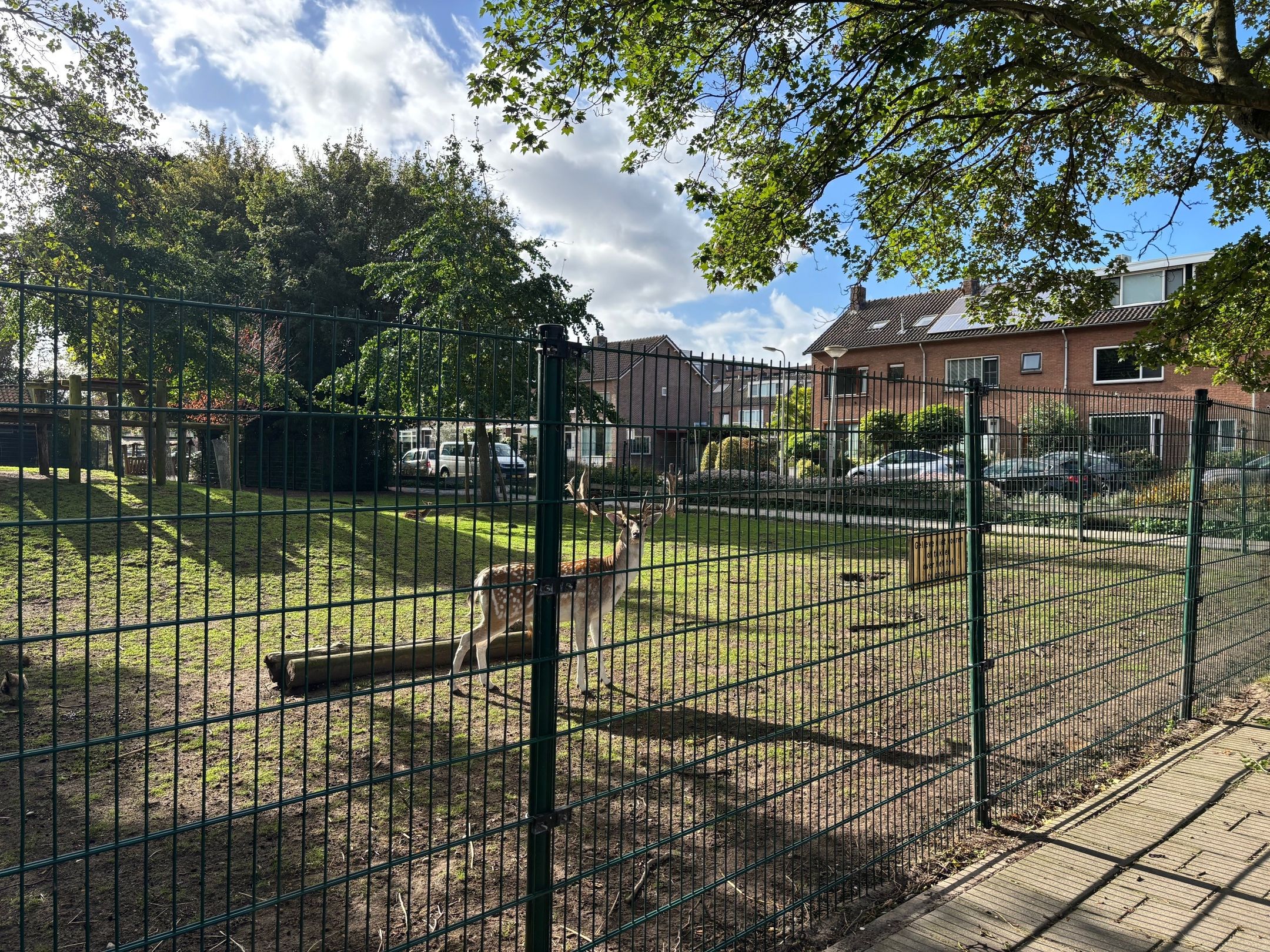 Foto 3 van Bospolderstraat 9-A