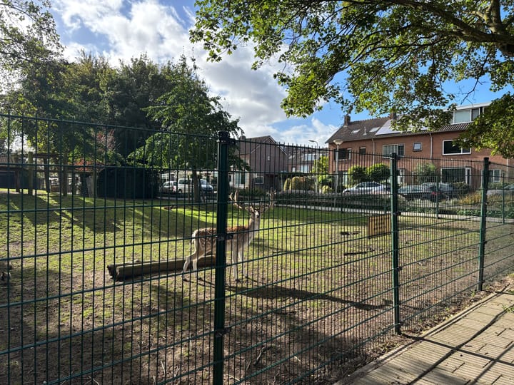 Foto 3 van Bospolderstraat 9-A