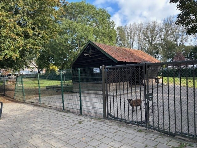 Foto 29 van Bospolderstraat 9-A