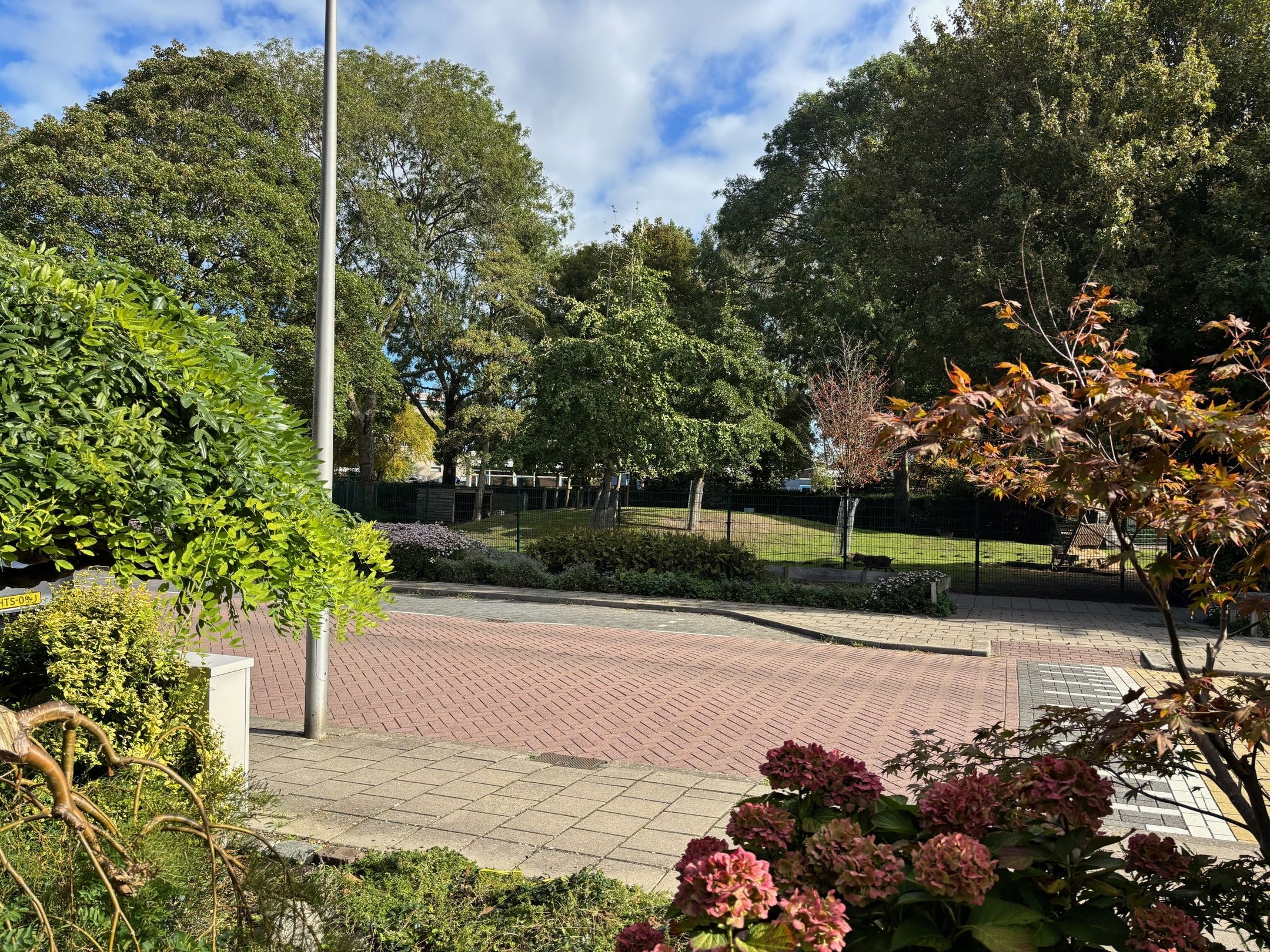 Foto 30 van Bospolderstraat 9-A