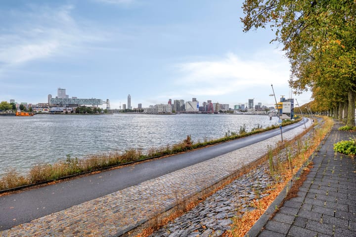 Foto 19 van Oostmaaslaan 195-E