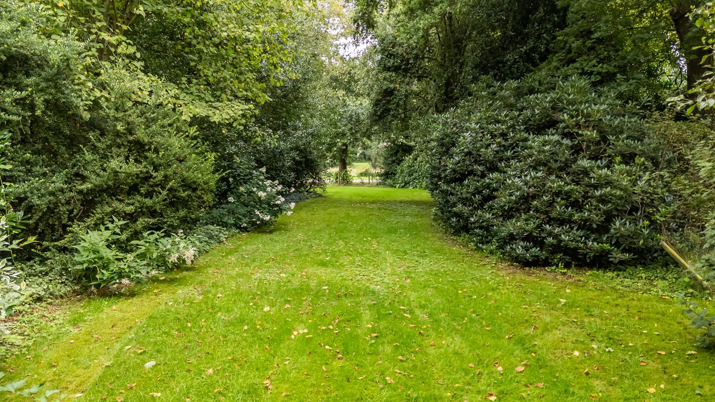 Foto 59 van Zeegserweg 10