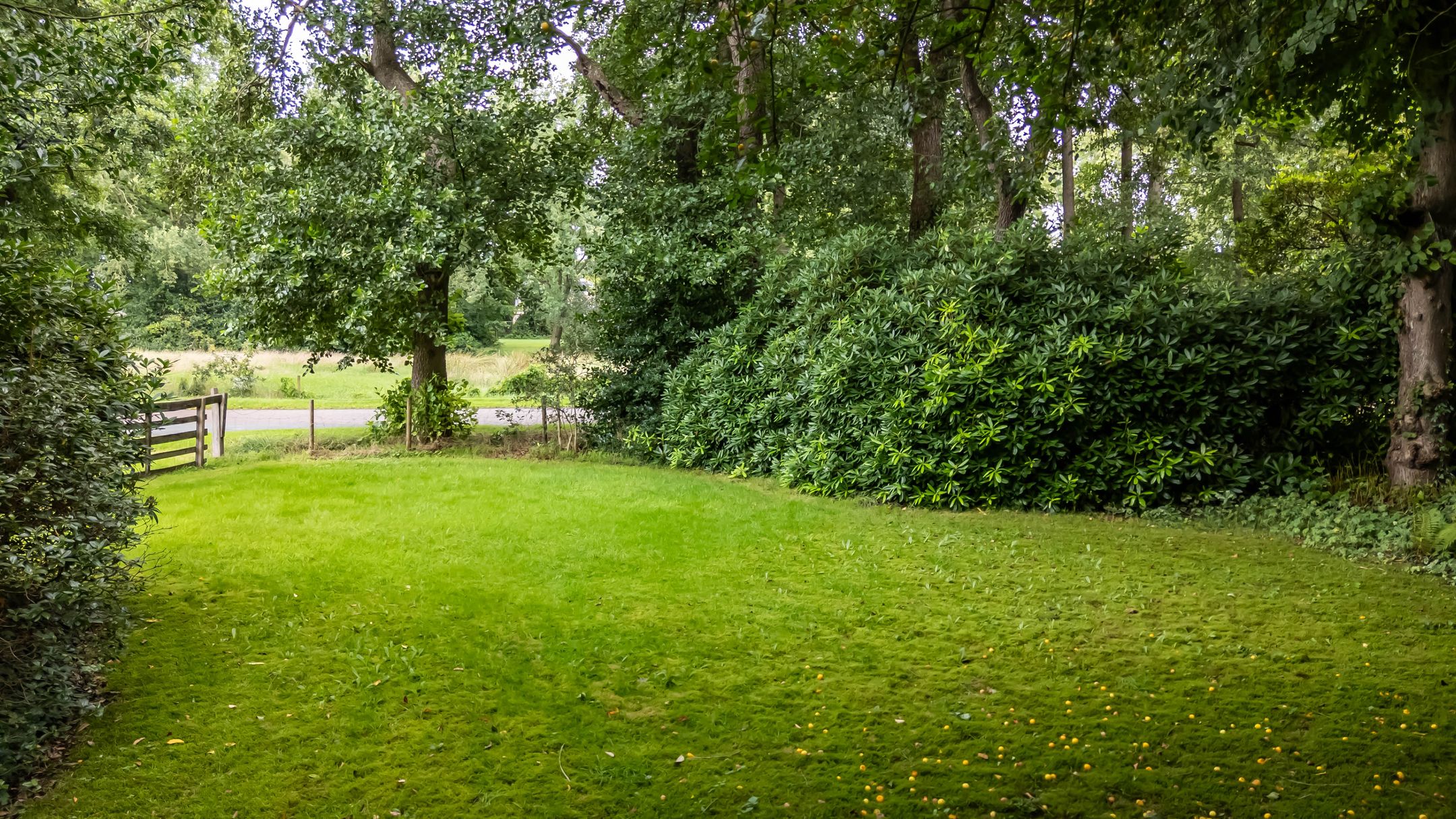 Foto 60 van Zeegserweg 10