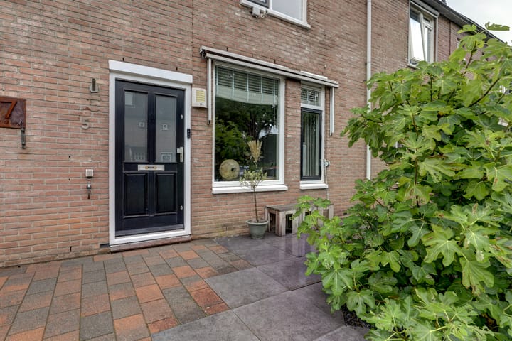 Foto 2 van Jan Steenhof 5