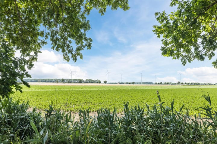 Photo 39 of Groenendijk 56