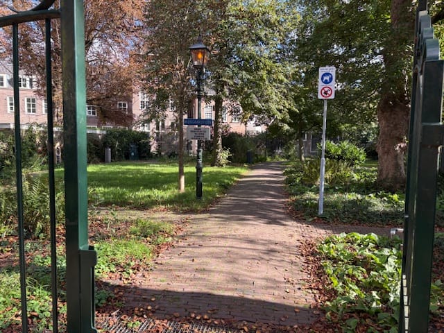 Foto 17 van Morinnesteeg 32