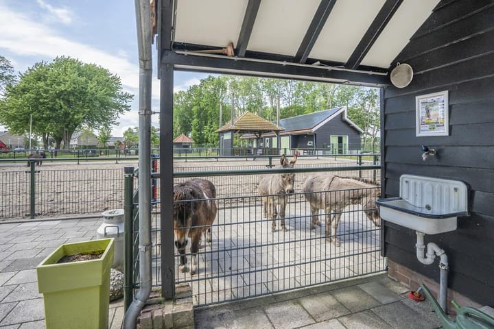 Foto 4 van Dahliastraat 4