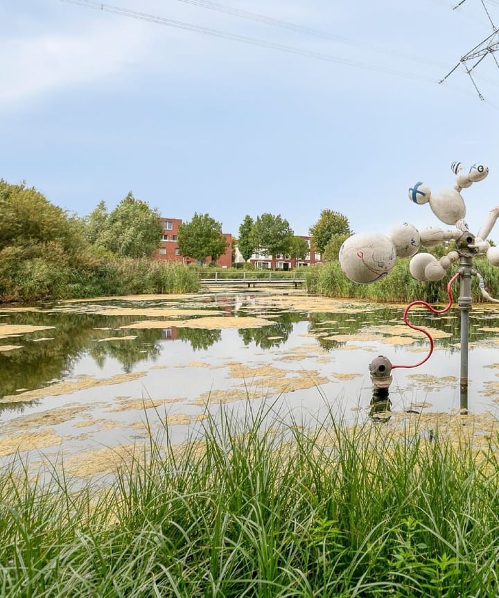 Foto 29 van Jac. Jongertstraat 20