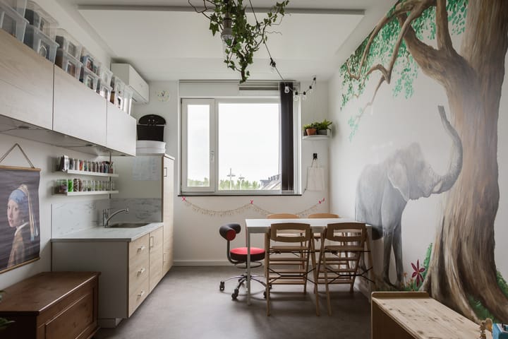 Foto 33 van Oostmeerlaan 197