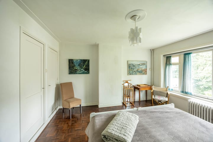 Foto 30 van Goeman Borgesiuslaan 1