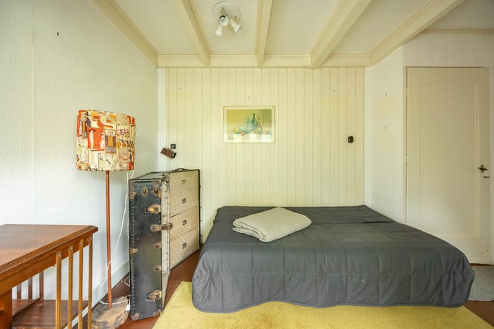 Foto 39 van Goeman Borgesiuslaan 1