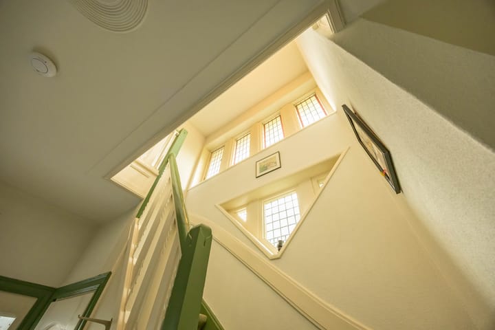 Foto 22 van Goeman Borgesiuslaan 1