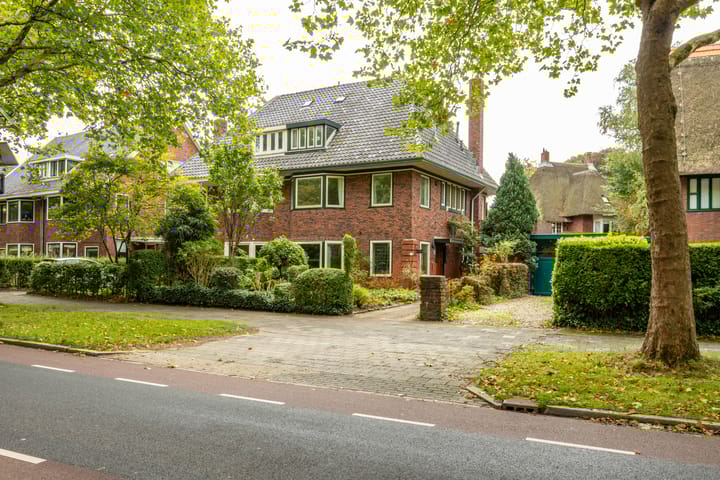 Foto 1 van Goeman Borgesiuslaan 1