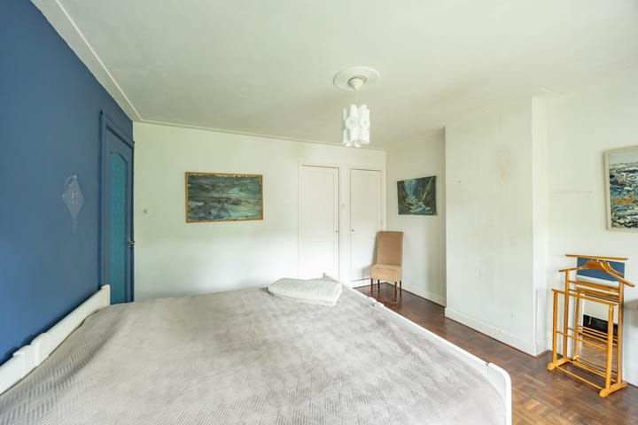 Foto 31 van Goeman Borgesiuslaan 1