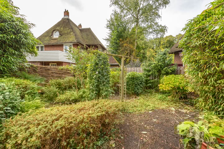 Foto 45 van Goeman Borgesiuslaan 1