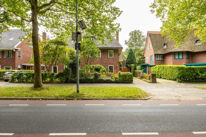 Foto 47 van Goeman Borgesiuslaan 1