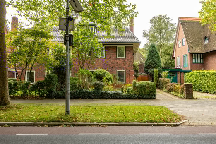 Foto 48 van Goeman Borgesiuslaan 1