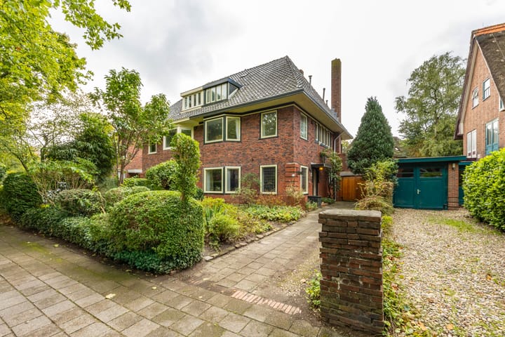 Foto 49 van Goeman Borgesiuslaan 1