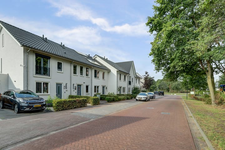 Foto 2 van Meiraap 50