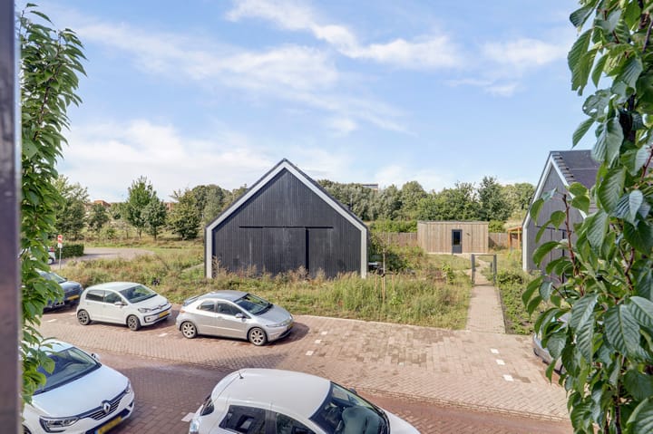 Foto 36 van Ochtenddauw 5