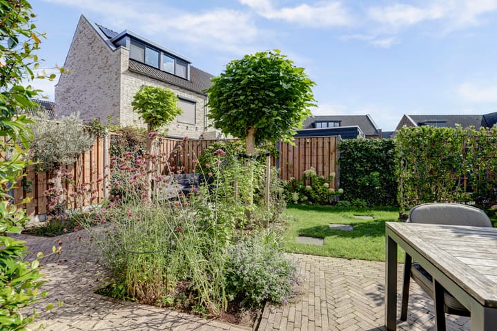 Foto 38 van Ochtenddauw 5