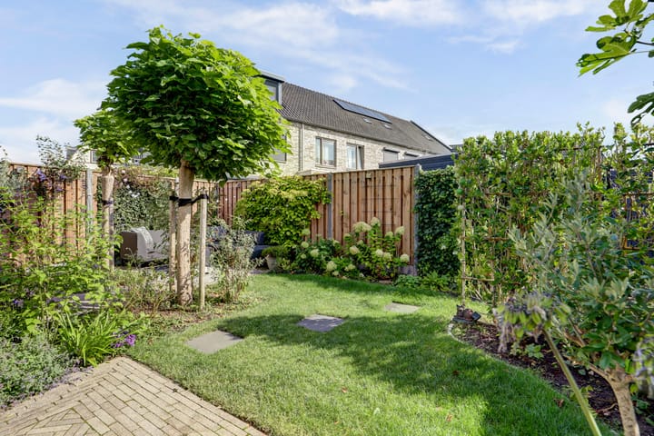 Foto 44 van Ochtenddauw 5