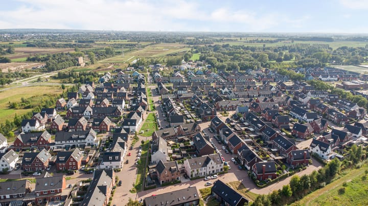 Foto 52 van Ochtenddauw 5