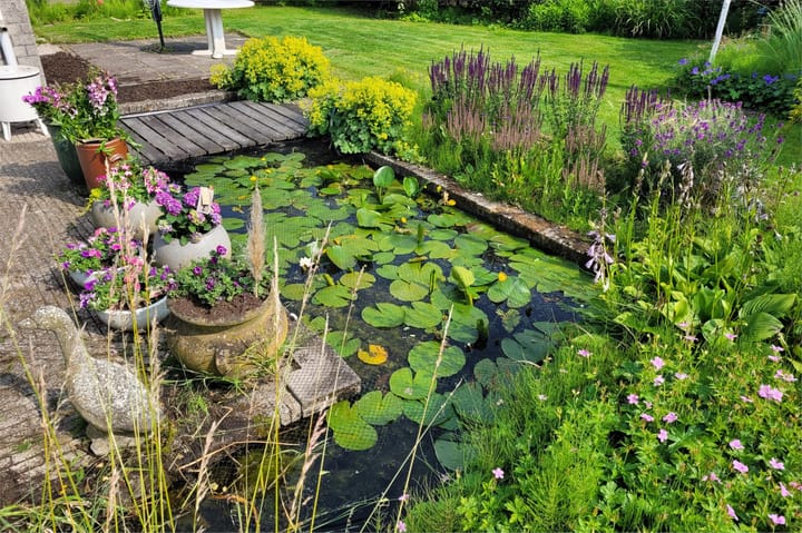 Foto 38 van Annie van Hattemstraat 39