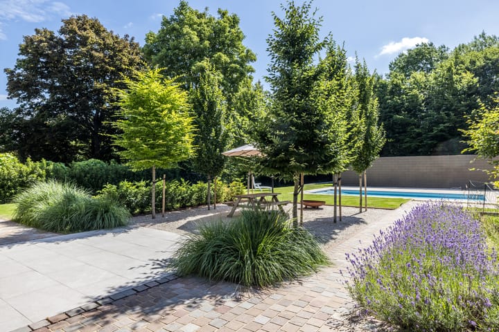 Foto 53 van Bosstraat 46