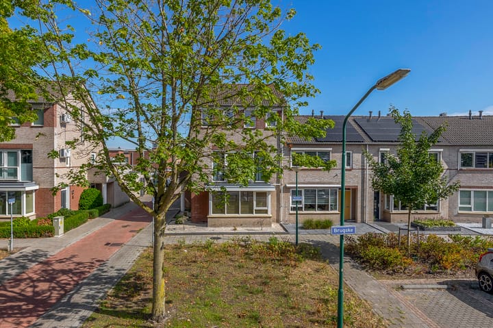 Photo 28 of Brugske 3