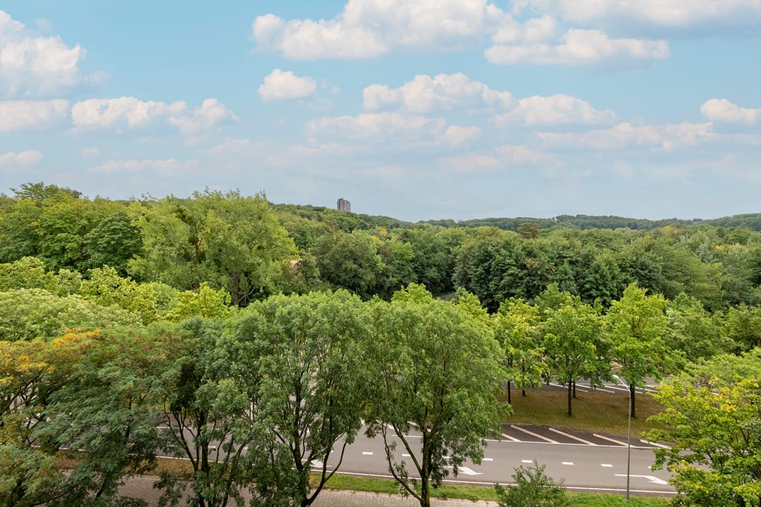 Foto 17 van Drieoortsput 51