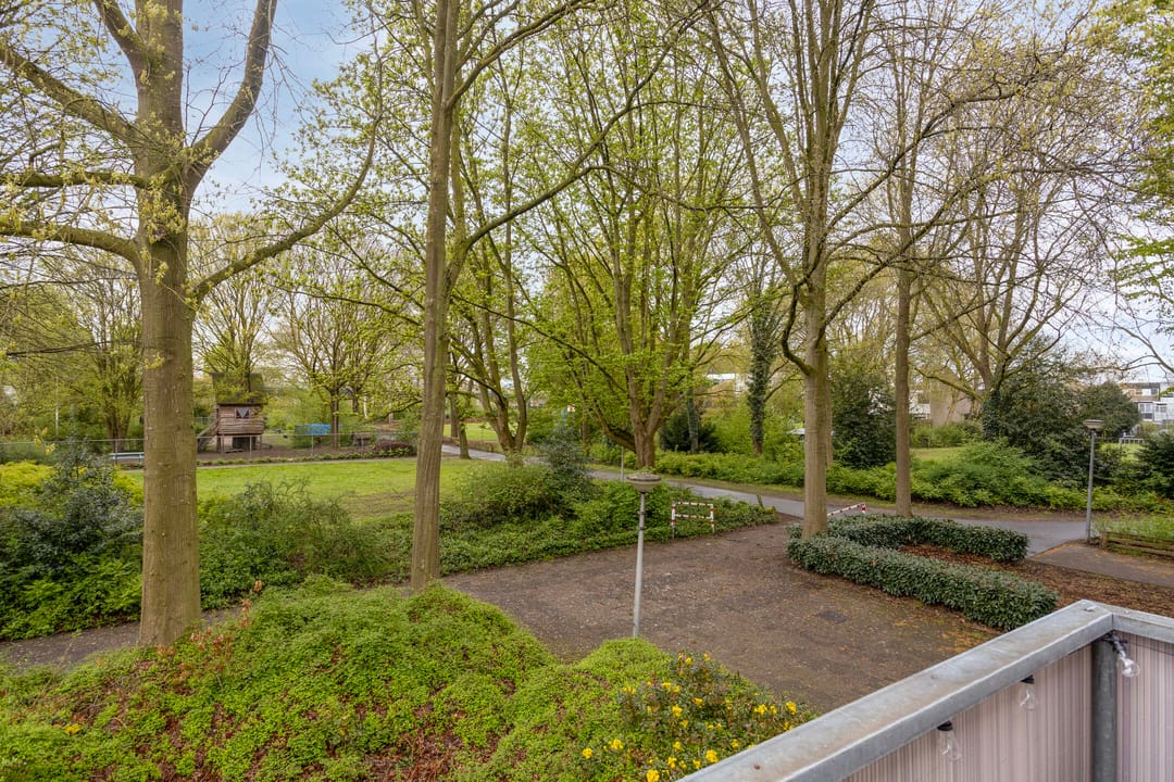 Foto 7 van Doornenburg 801