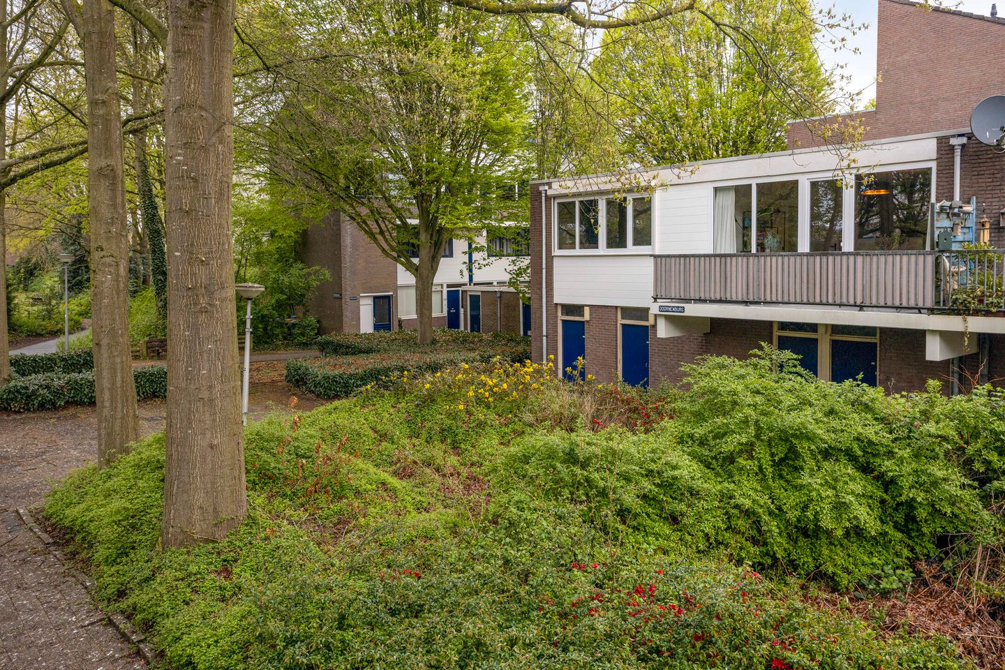 Foto 25 van Doornenburg 801