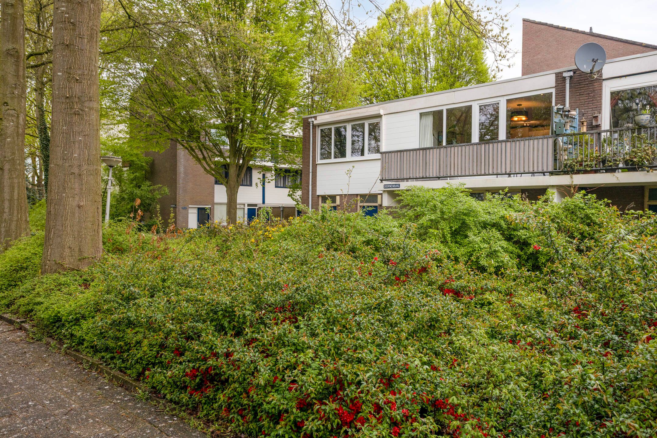 Foto 30 van Doornenburg 801