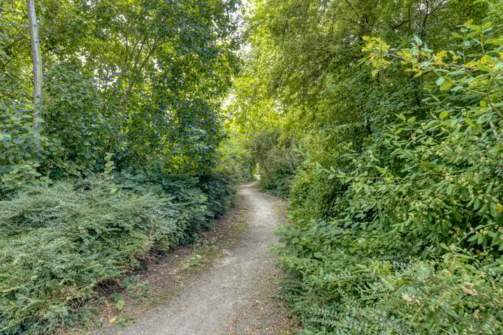 Photo 34 of Speenkruid 31