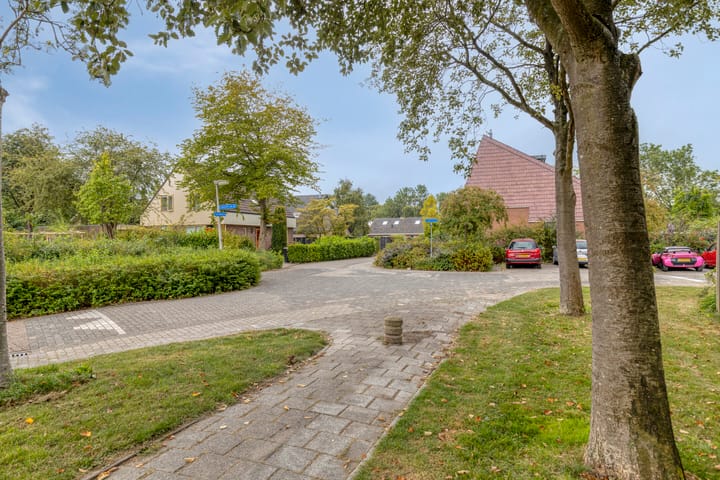 Photo 37 of Speenkruid 31