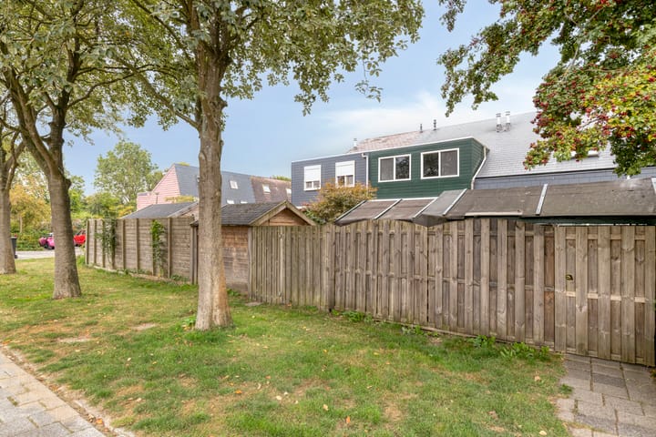 Photo 38 of Speenkruid 31